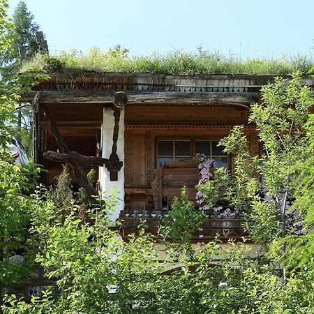 Chalet Alm Planai Schladming Exterior foto